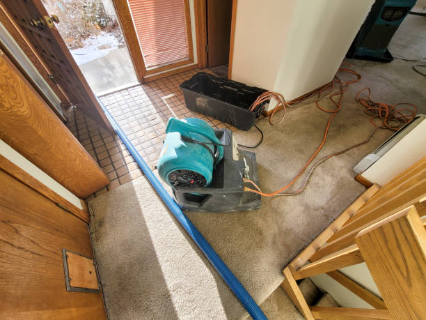 Best Sewage cleanup and water damage restoration  in Shelbyville, IN