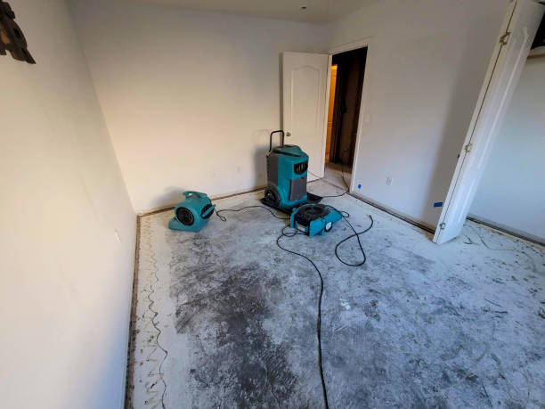 Best 24/7 water damage repair  in Shelbyville, IN