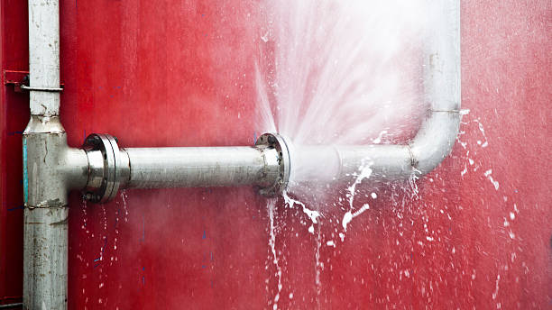 Best Mold removal after water damage  in Shelbyville, IN